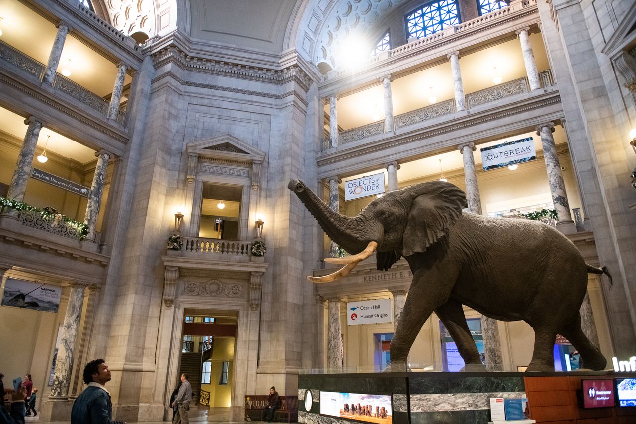 Beauty Rich _ Rare-Natural History Museum-DC-Australian Embassy-2019-12-18-RCD-270