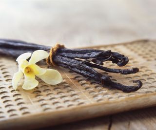 Dried vanilla beans next to a vanilla flower on a wooden table