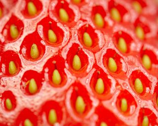 Close-up of a ripe strawberry