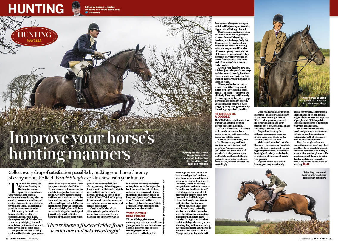 HT 2p how to make your horse nic