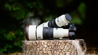 Sony FE 400mm F4.5 GM OSS and Sony FE 600mm F6.3 GM OSS super-telephoto lenses on a tree stump, with the 600mm attached to a Sony A7R V camera