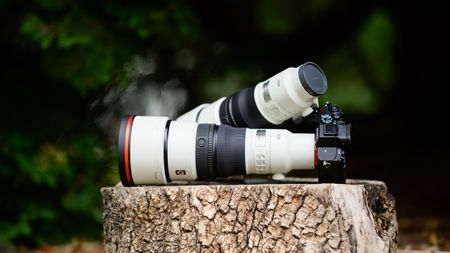Sony FE 400mm F4.5 GM OSS and Sony FE 600mm F6.3 GM OSS super-telephoto lenses on a tree stump, with the 600mm attached to a Sony A7R V camera