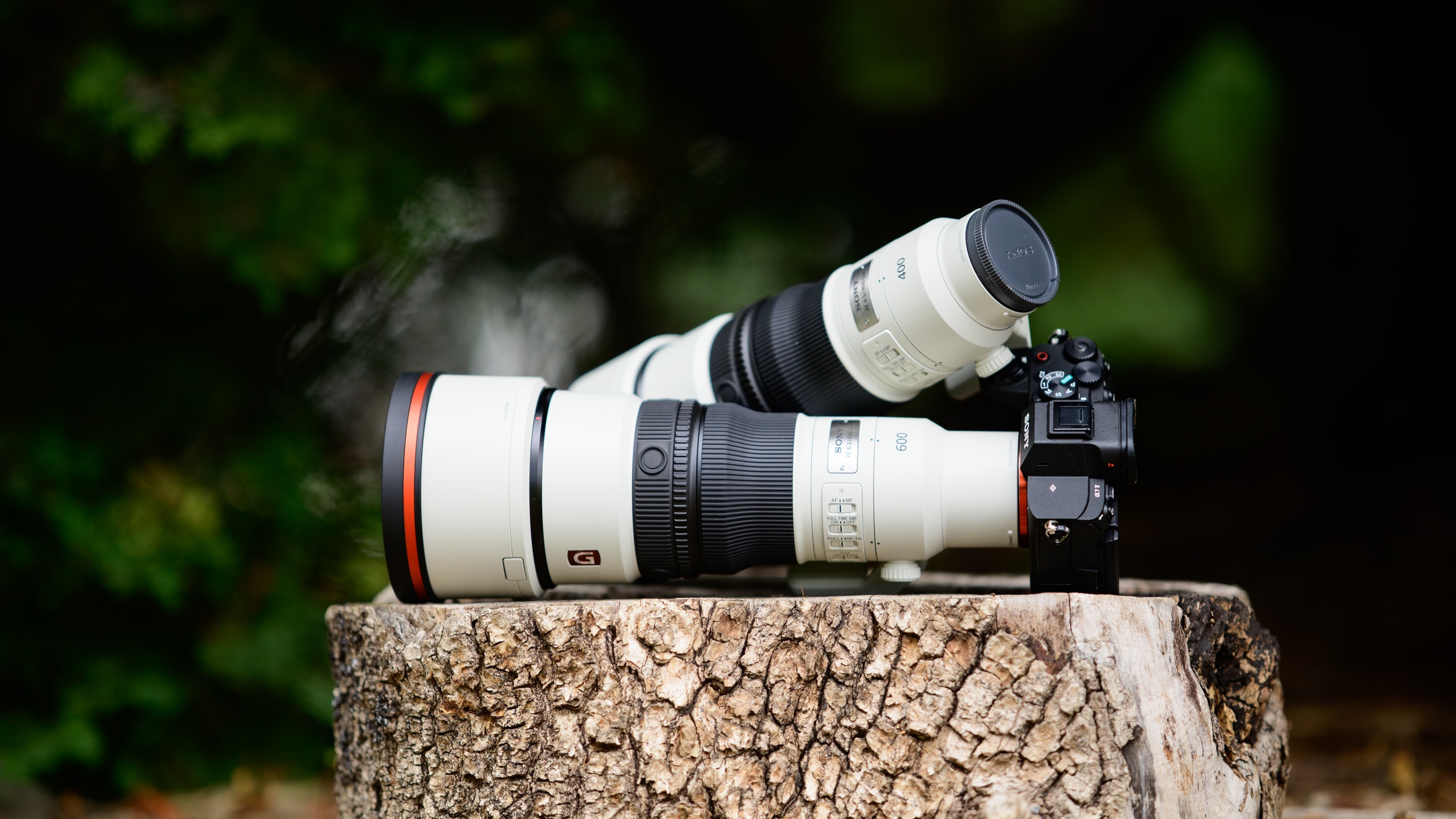 Sony FE 400mm F4.5 GM OSS and Sony FE 600mm F6.3 GM OSS super-telephoto lenses on a tree stump, with the 600mm attached to a Sony A7R V camera