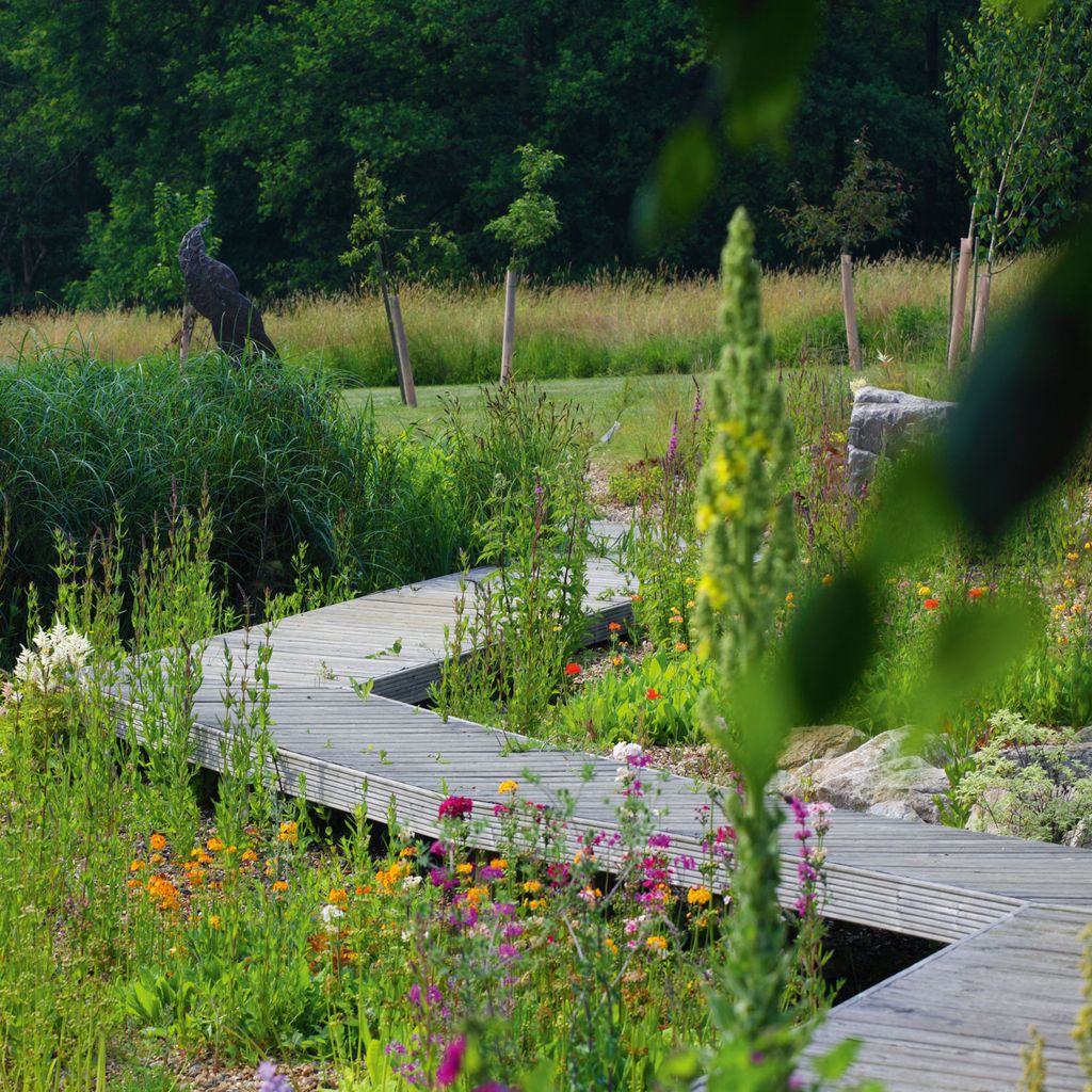 Zen garden ideas to create a calming and tranquil landscape | Ideal Home