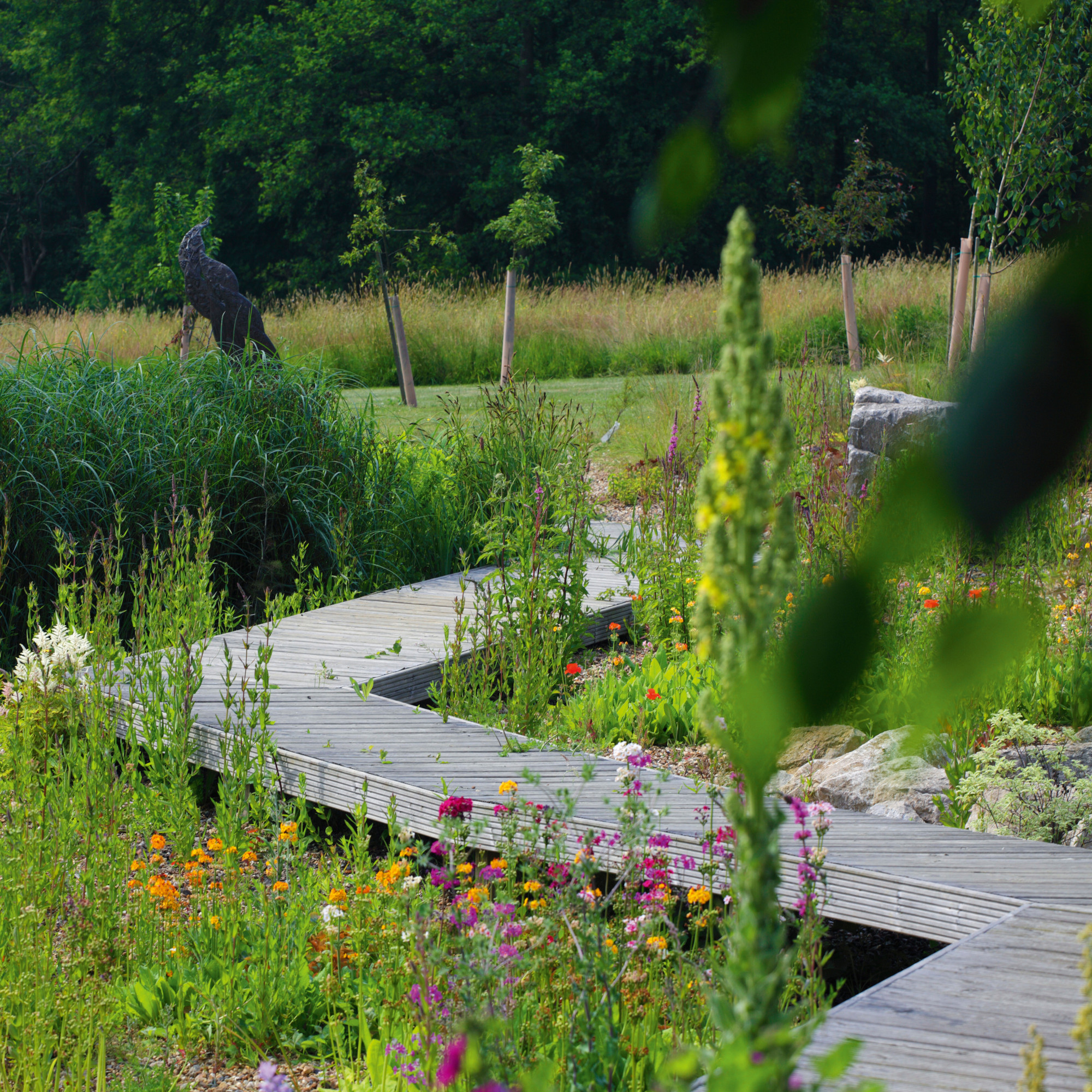 garden with flowers and grasses a bird sculpture and zig zag bridge