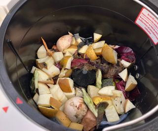 Food scraps and a bio-plastic bag to test the Lomi Home Composter