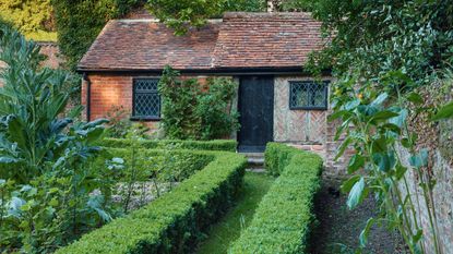 box hedge with cottage in background