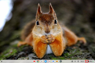 Chromebook desktop