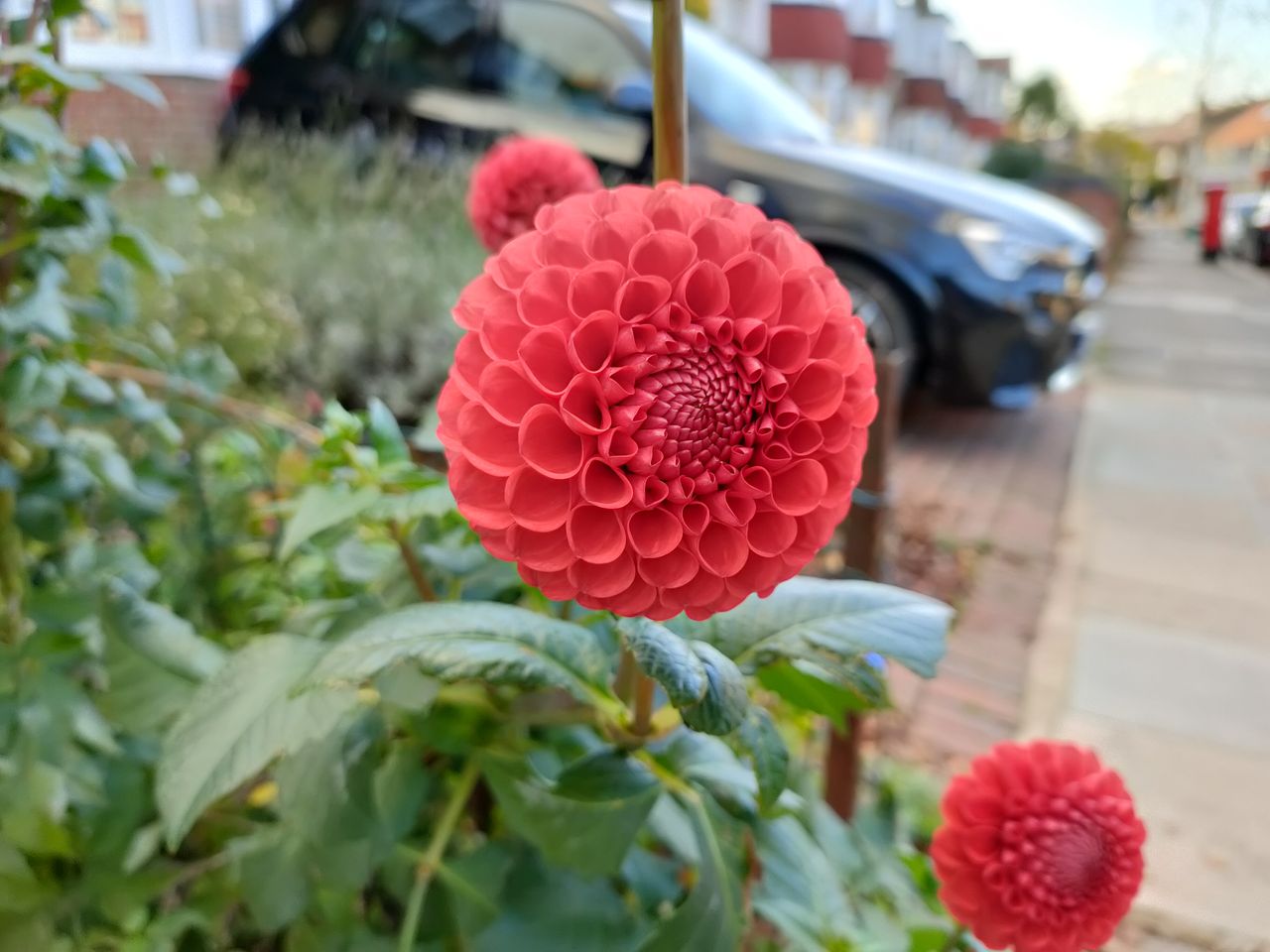 Oppo Reno 4 5G camera sample