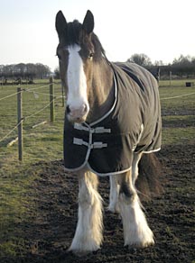 hovis1.jpg