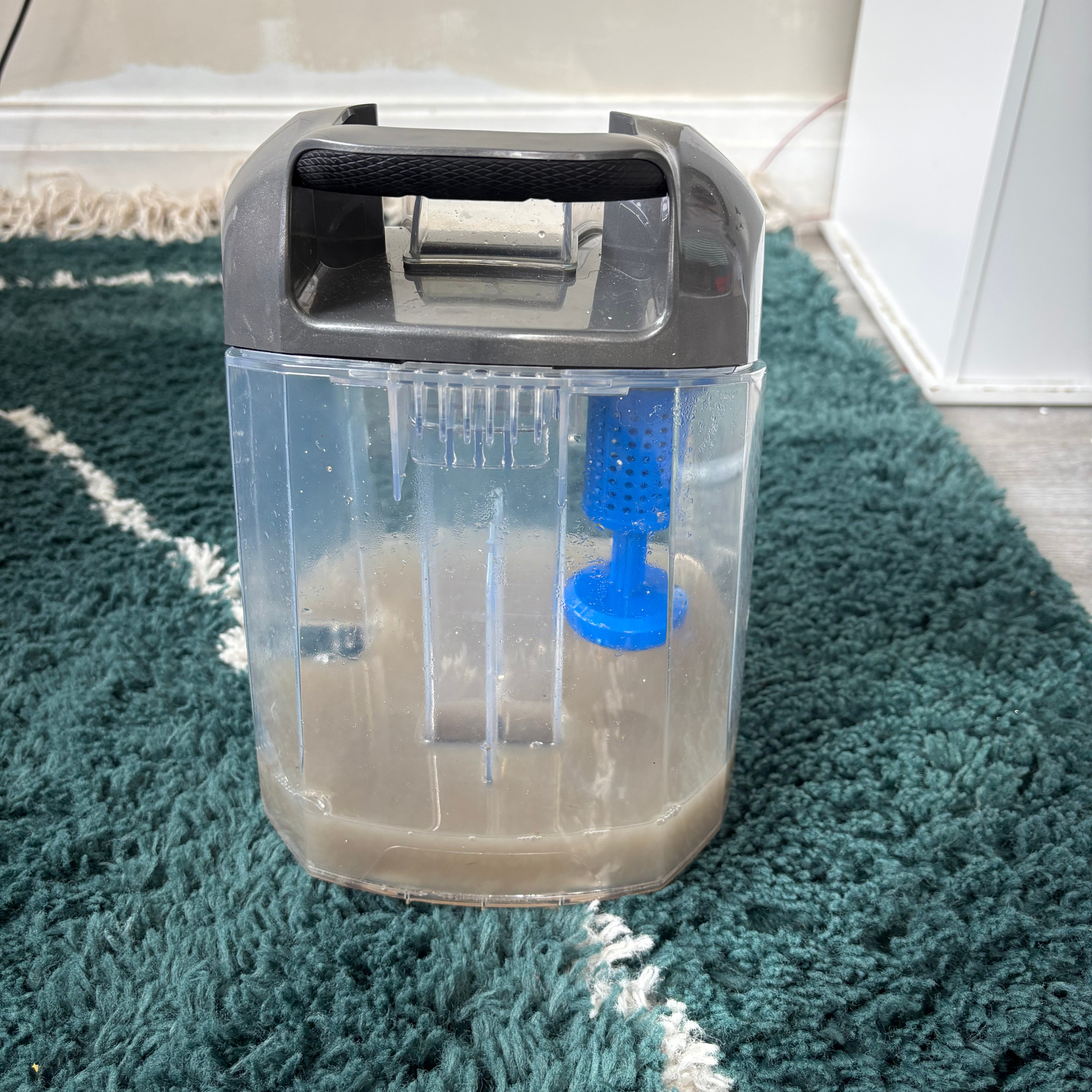 Dirty water tank after using the ONEPWR Cordless Compact Carpet Cleaner on a rug