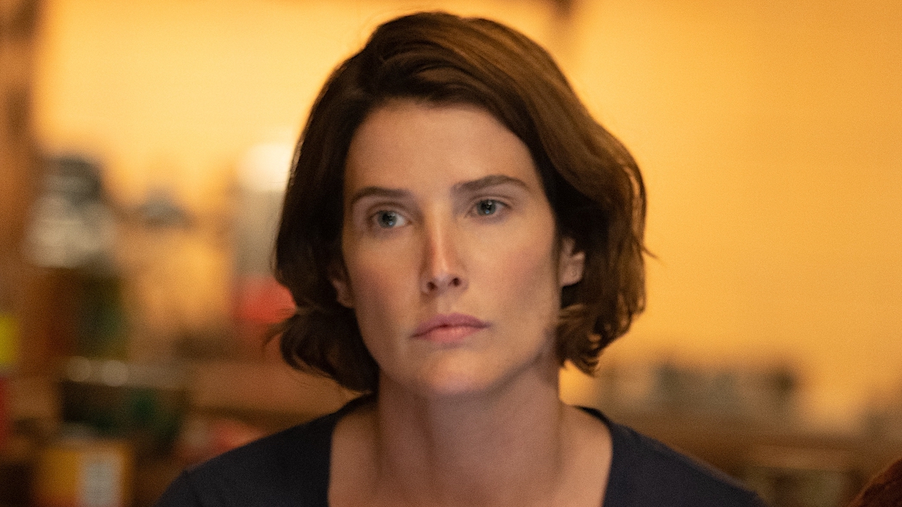 Cobie Smulders' Latest Comments About MCU's Maria Hill Has Fans Riled Up About Secret Invasion All Over Again