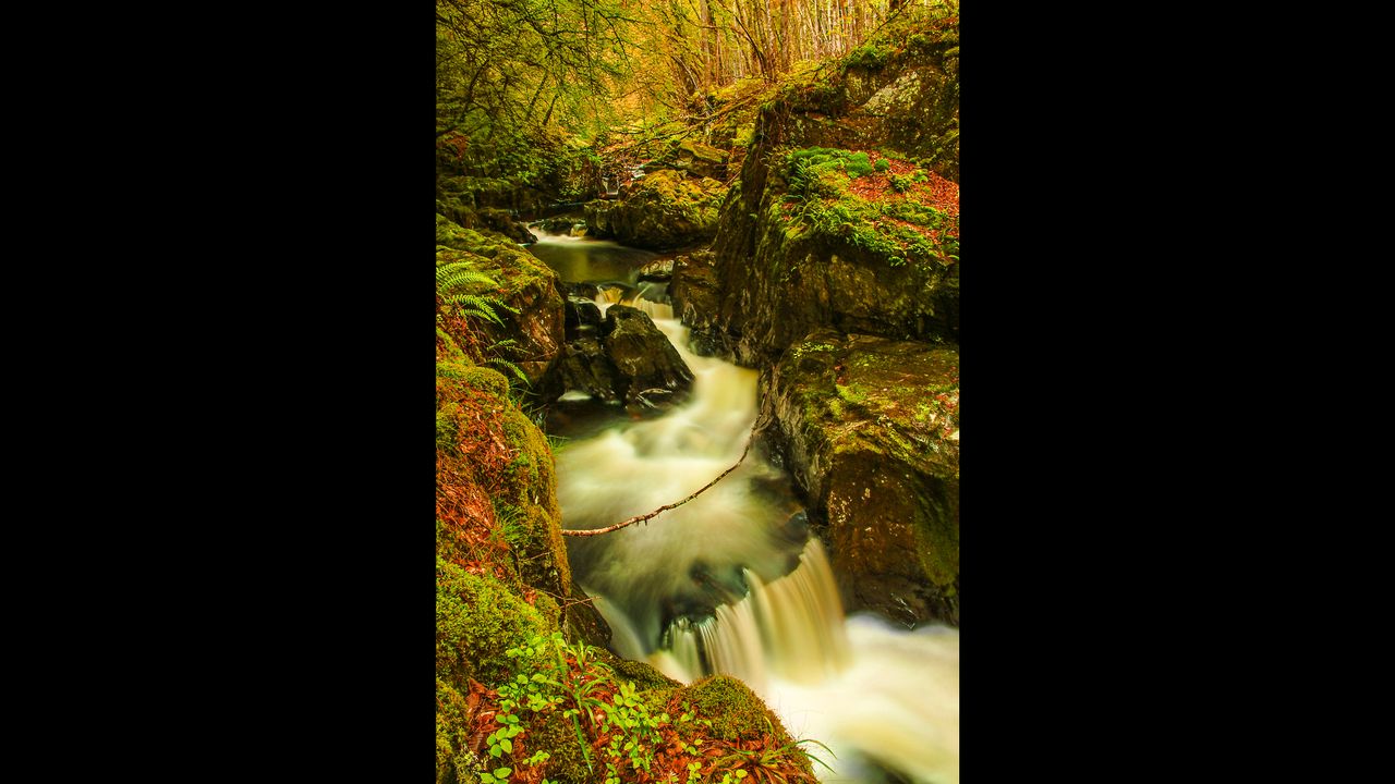 three images of woodland streams, framed by trees