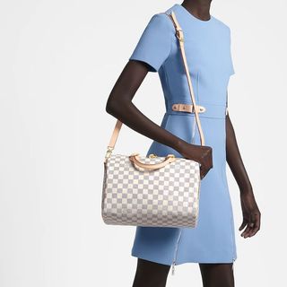 Speedy Louis Vuitton bag