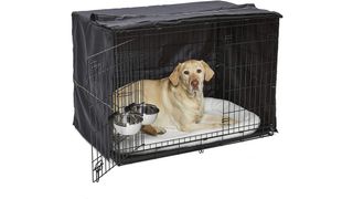 MidWest iCrate Starter Kit dog crate