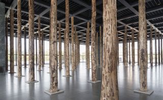 Interior of Sticks and Stones’ exhibition