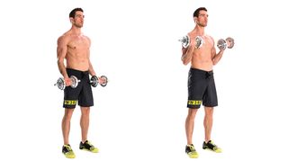Man demonstrates two positions of the dumbbell biceps curl exercise