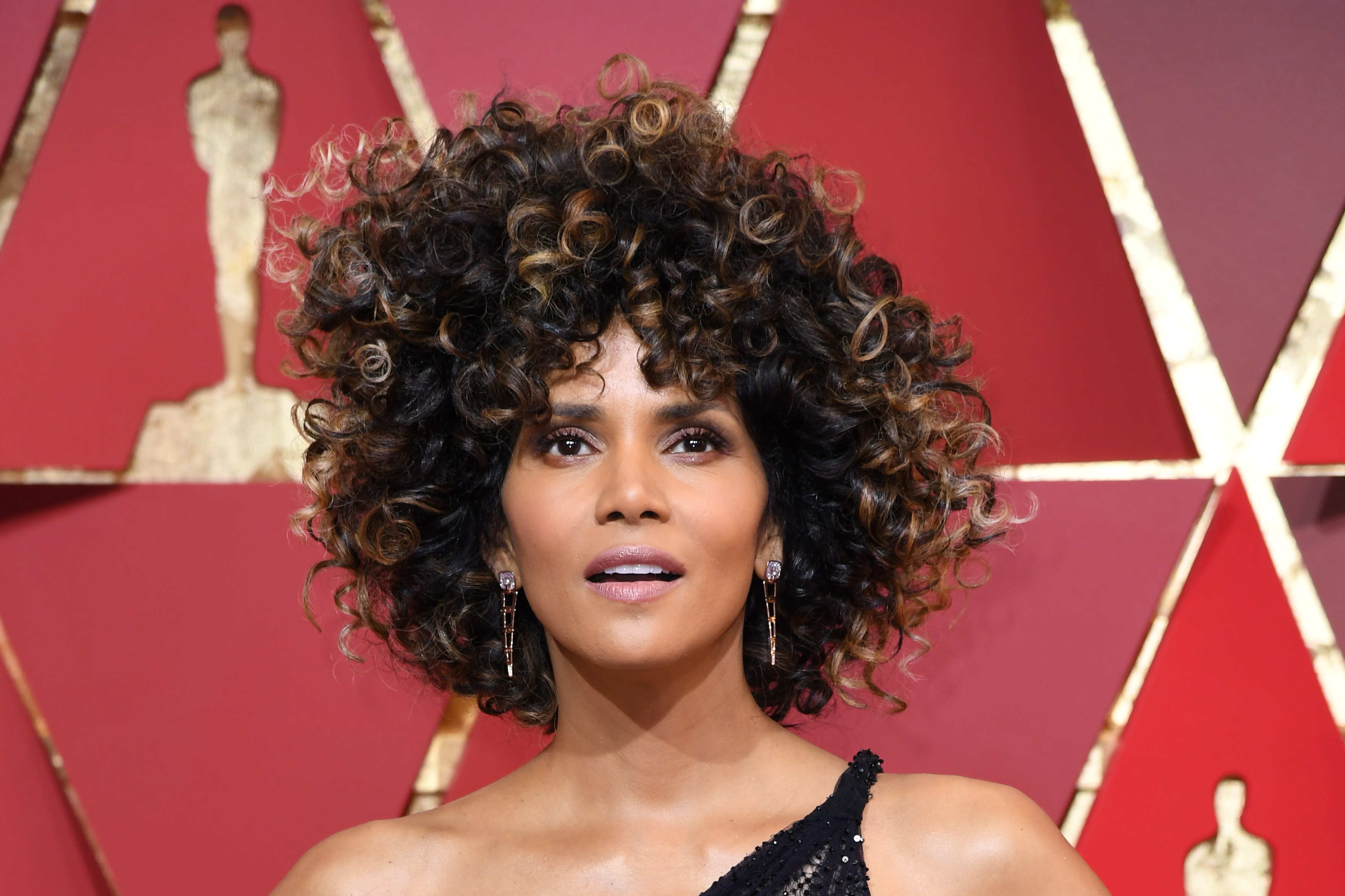 Halle Berry attending an event