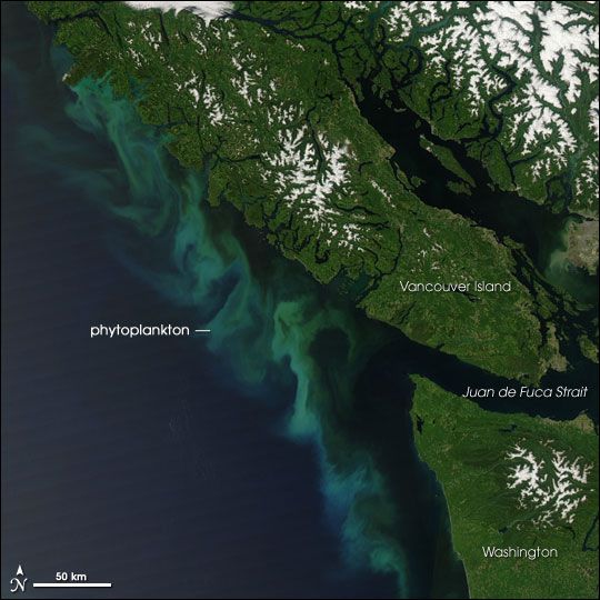 Past Mega-Quakes Left Mark on Canadian Coast| Earthquakes | Live Science