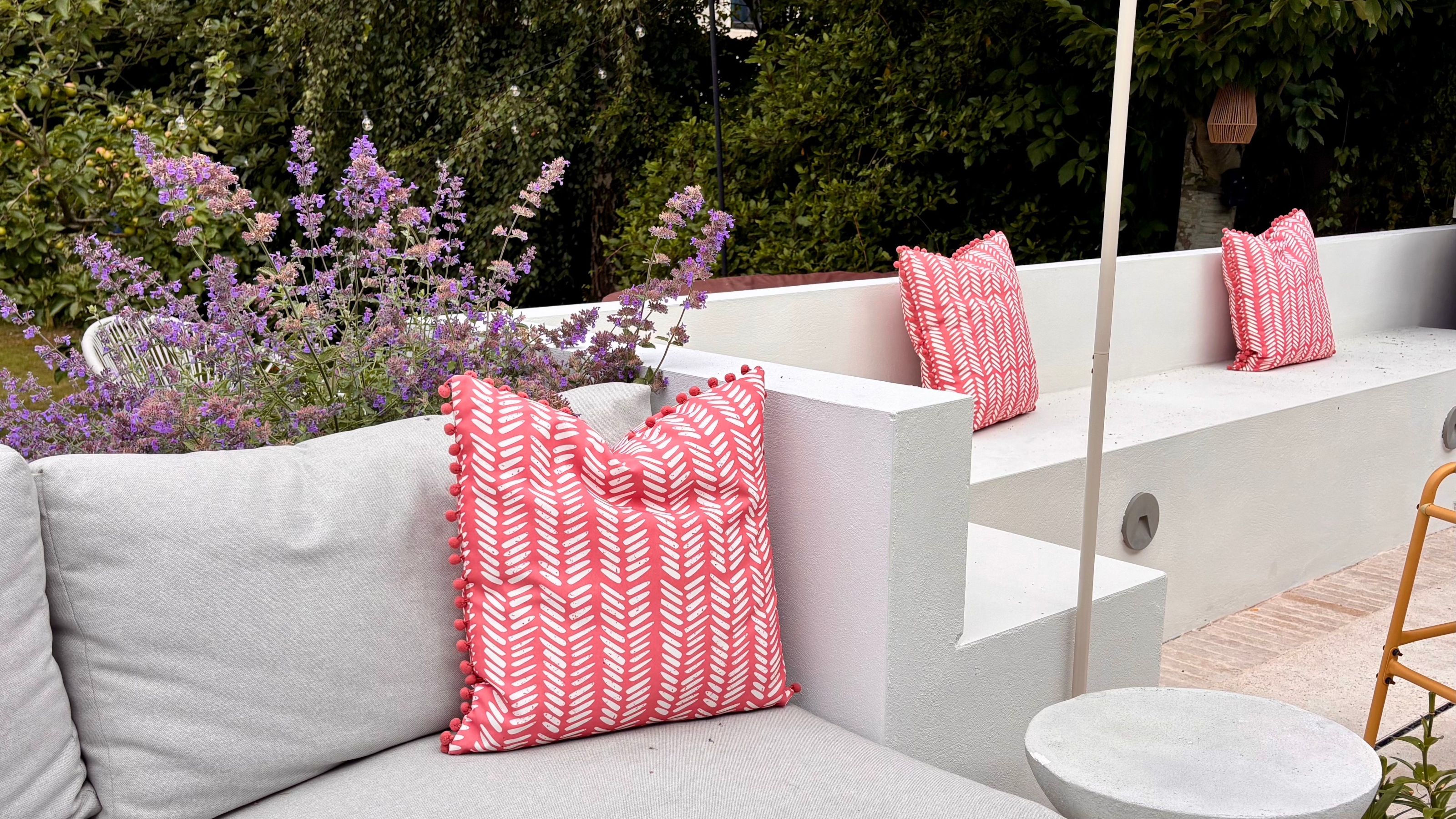 catmint in a planter by seating on a patio