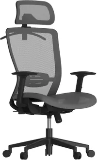 FlexiSpot Ergonomic Office Chair