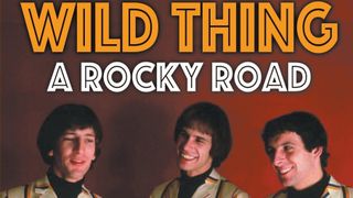 Cover art for Wild Thing: A Rocky Road by Pete Staples