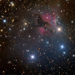 LBN 1022 Nebula