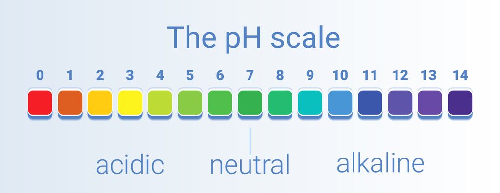 How To Test The Ph Of Soil: Soil Ph Explained For Beginners 