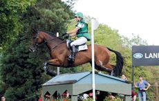 Kings-Temptress-burghley-2011.jpg