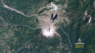 Forest Recovering From Mount St. Helens Eruption
