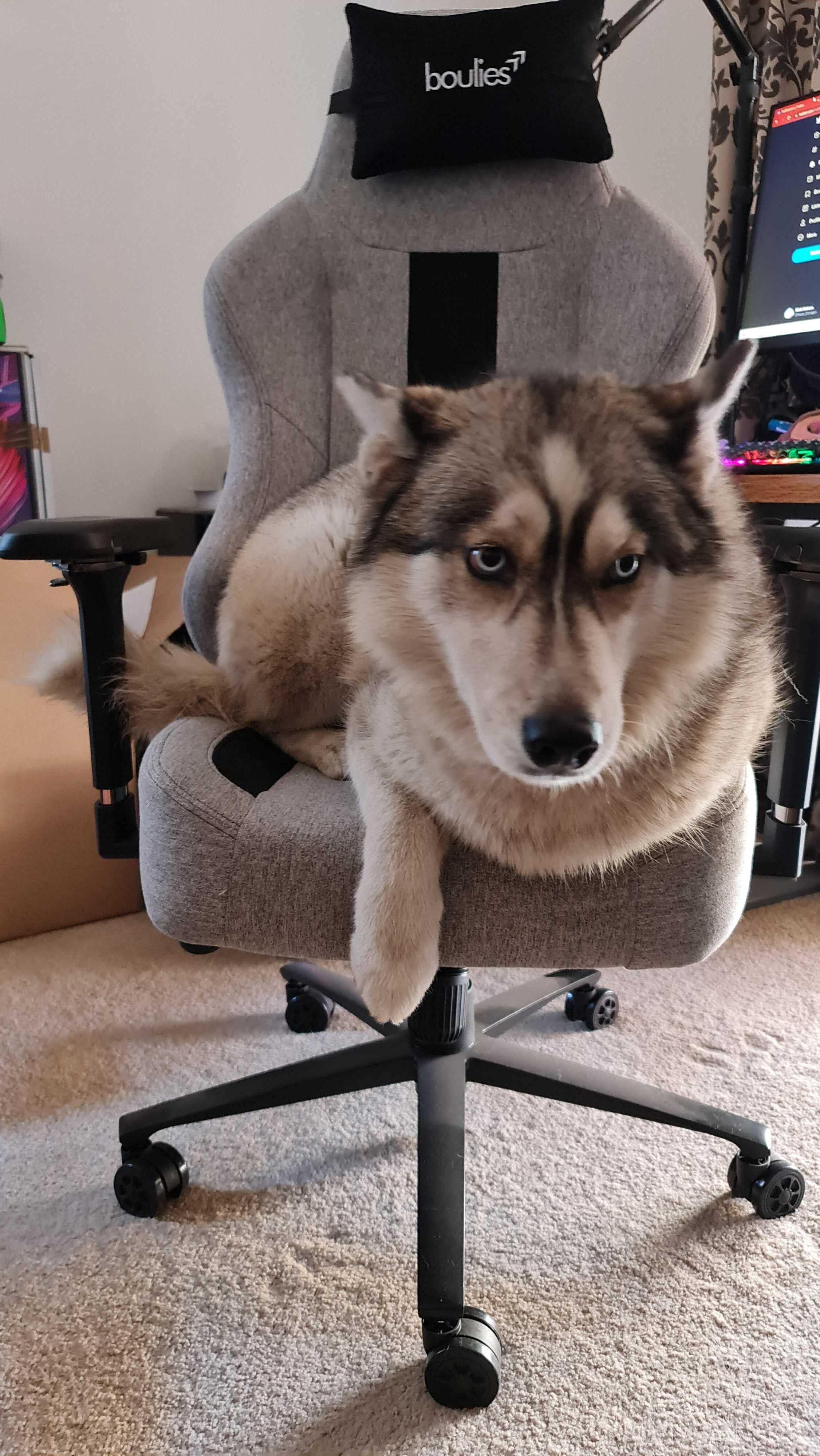 Boulies Master gaming chair