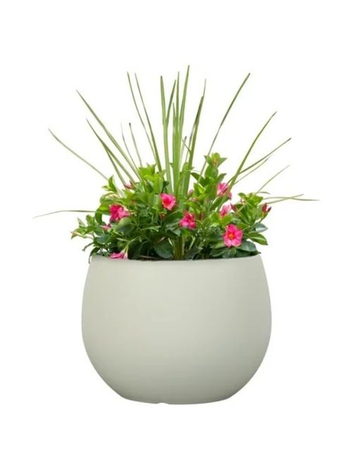 Mainstays Jordan Large Round Vanilla Dream Resin Planter