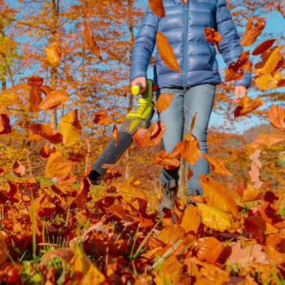 Woman blowing leaves