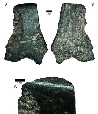 oldest ground-edge stone axe