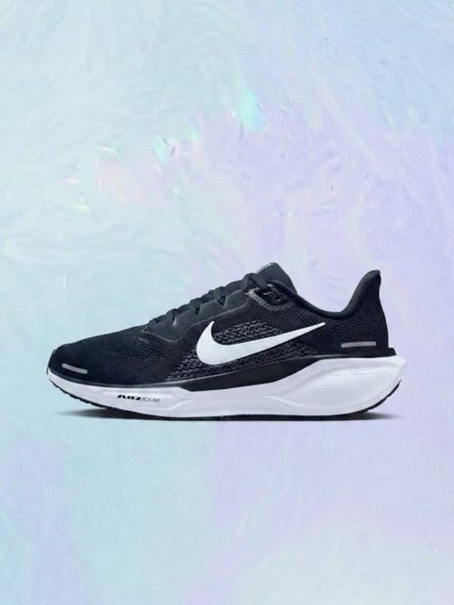 Pegasus 41