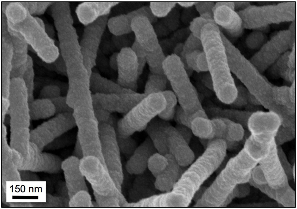 Drexel University lab&#039;s virus-templated nickel nanostructures