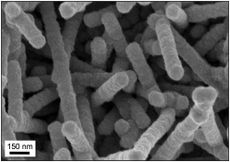 Drexel University lab's virus-templated nickel nanostructures