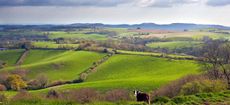 Waddon Hill, Dorset