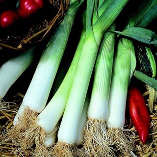 Leeks