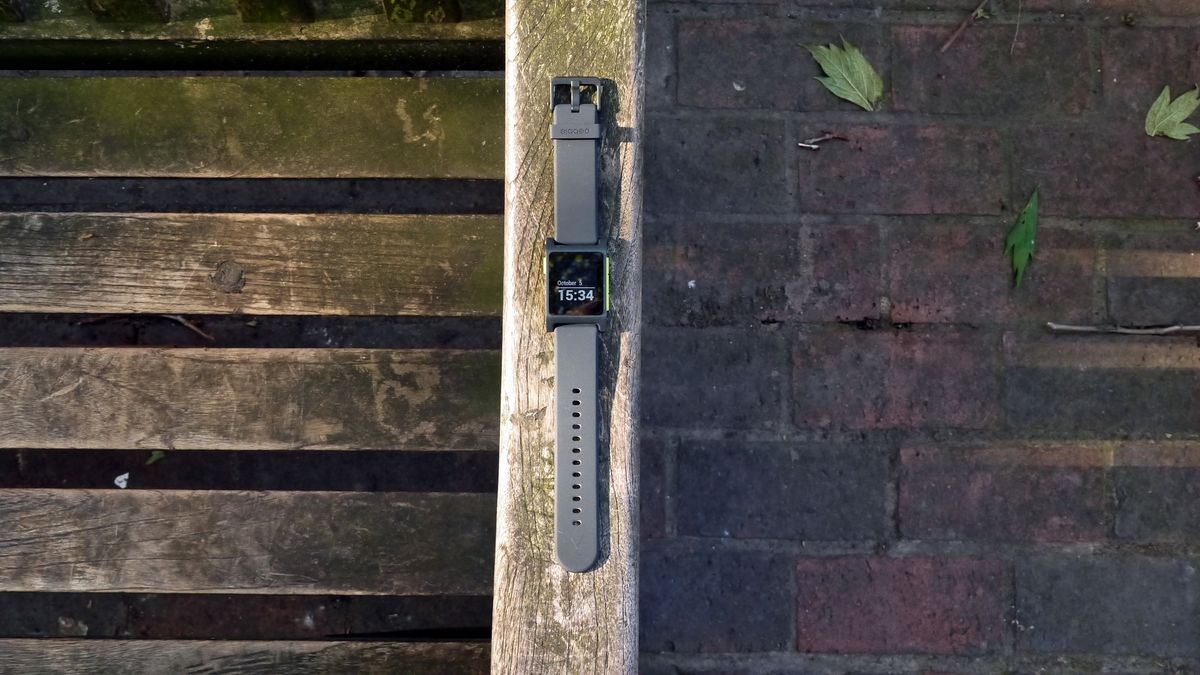 pebble 2