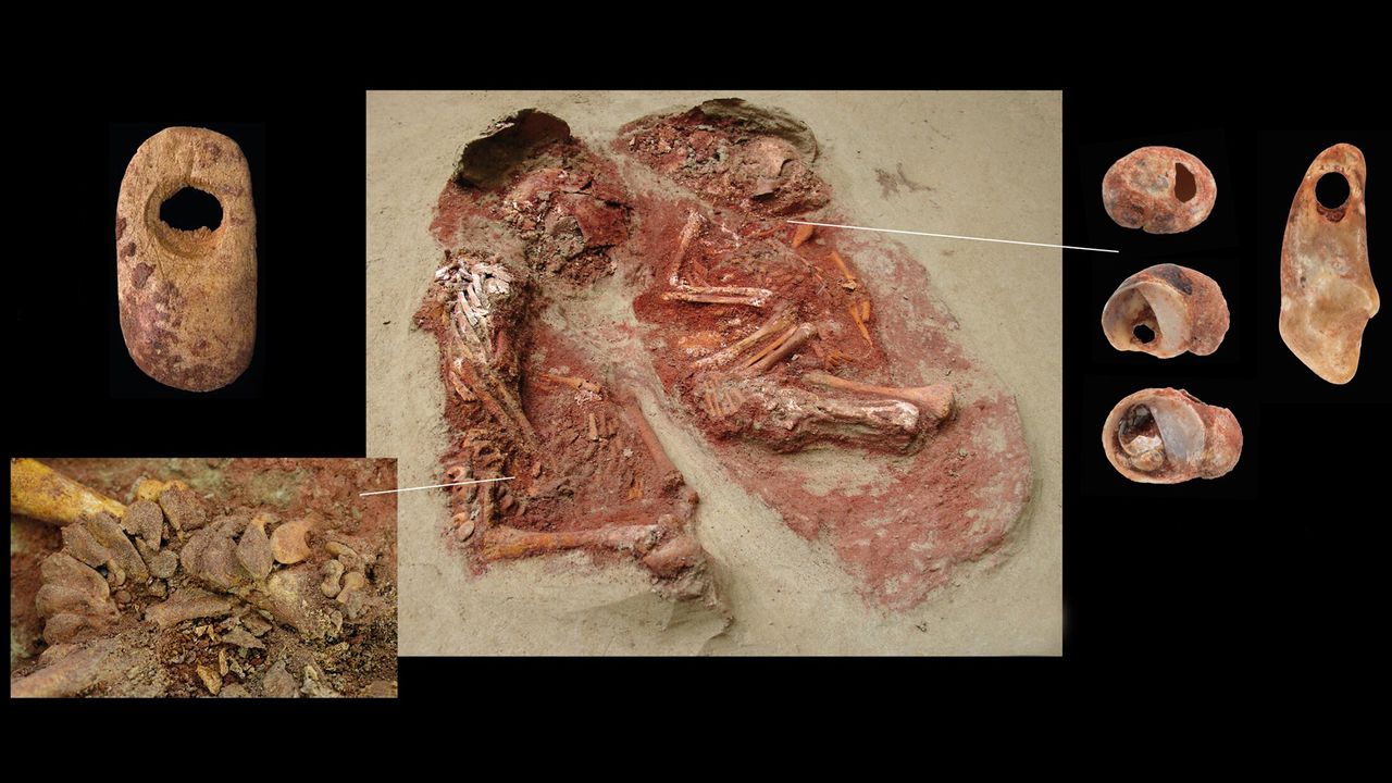 Grave goods in the twins' burial included mammoth-ivory beads (top and bottom left), a perforated fox incisor (far right) and three perforated mollusks (second to right).