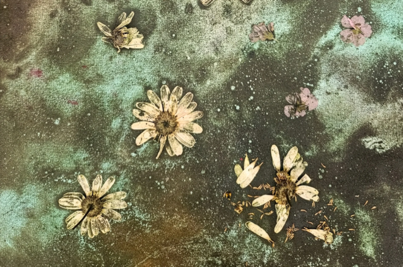 Lucy Dodd