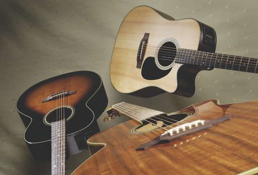 m*4様 Takamine DSP-015 TBS m*4様 Takamine DSP-015 TBS - メルカリ