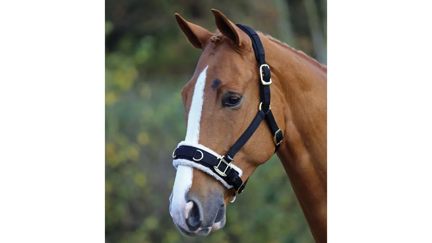 Shires Fleece-Lined Lunge Cavesson