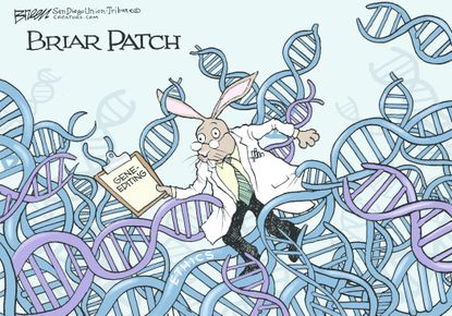 Editorial cartoon U.S. Science ethics gene editing DNA CRISPR briar patch