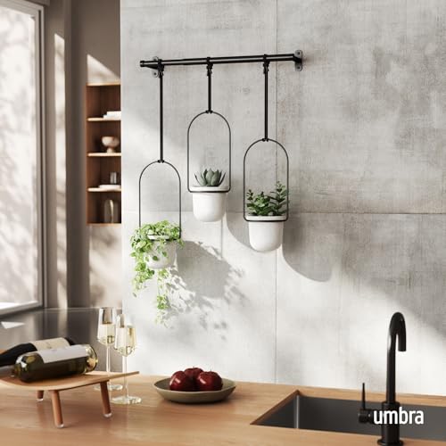 Amazon.com: Umbra Triflora Hanging Planter for Window, Indoor Herb Garden, Set of 3, White/black : Patio, Lawn &amp;amp; Garden
