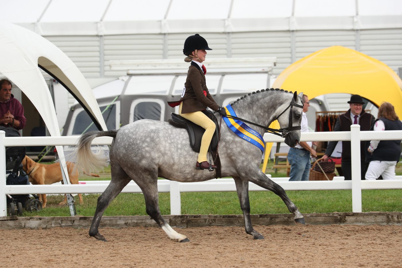 S19-A27_4961_322642692_515488822-e1575281134578.jpg