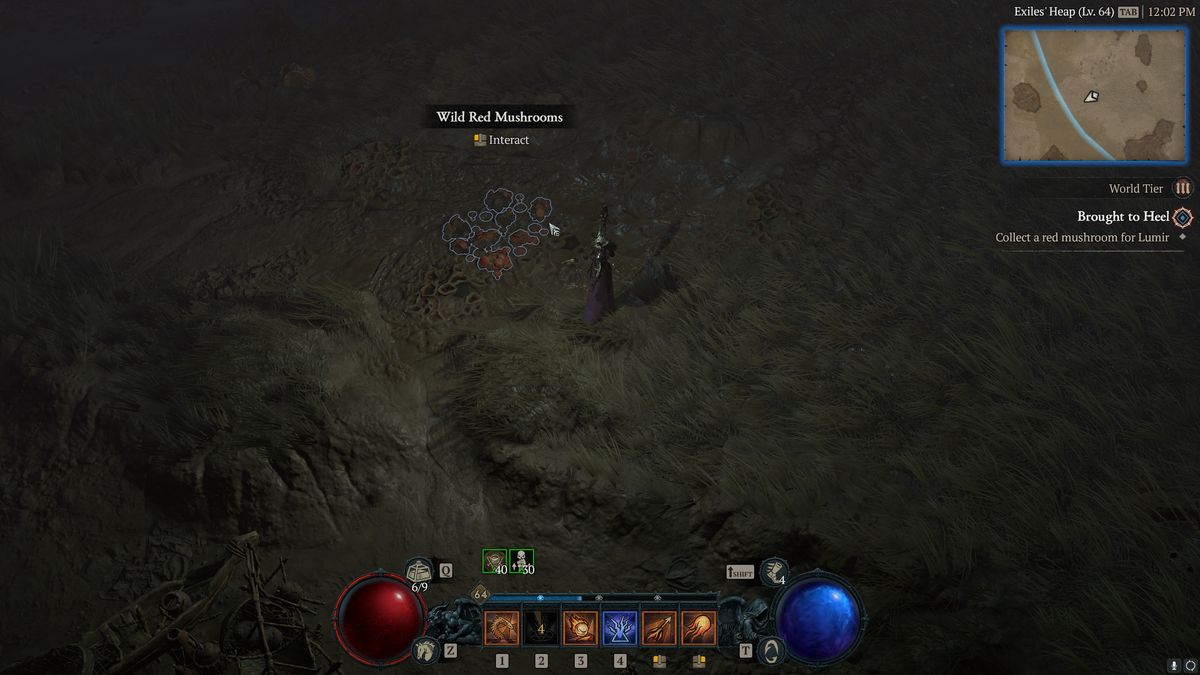 Diablo 4 Brought to Heel