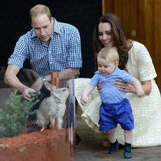 sydney, australia april 20 no uk sales for 28 days prince william, duke of cambridge, catherine, duchess of cambridge and prince george of cambridge meet a bilby called george as they visit the bilby enclosure at taronga zoo on april 20, 2014 in sydney, australia the duke and duchess of cambridge are on a three week tour of australia and new zealand, the first official trip overseas with their son, prince george of cambridge photo by poolsamir husseinwireimage