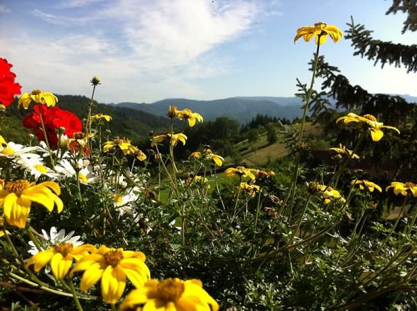 Gorgeous surroundings in the Black Forest for the Offenburg, Germany, World Cup